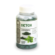 Detox Alquimia da Saúde